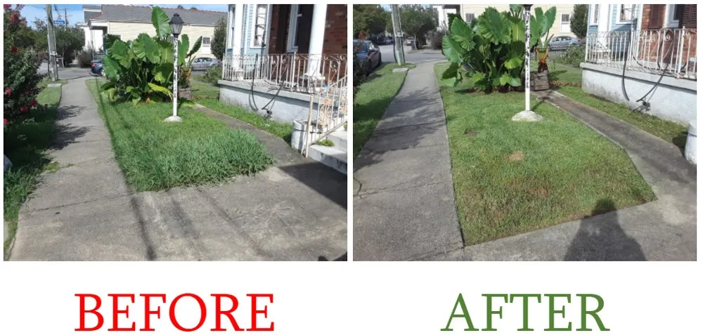 Expert yard cleanup service in New Orleans, LA - Eli the Lawn Guy