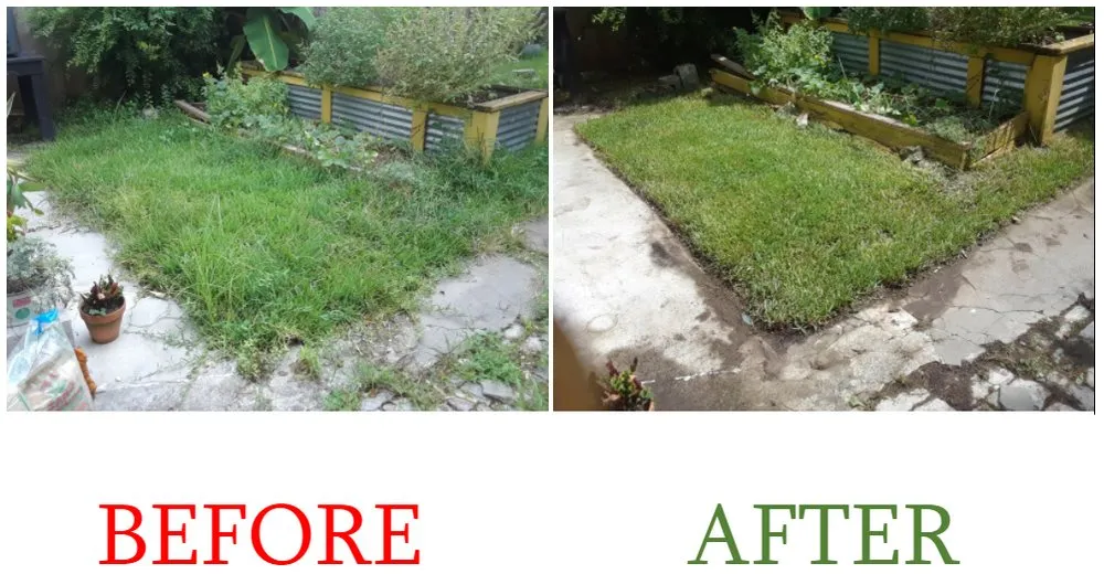 Top-rated outdoor landscaping for beautiful yards in New Orleans, LA by Eli the Lawn Guy