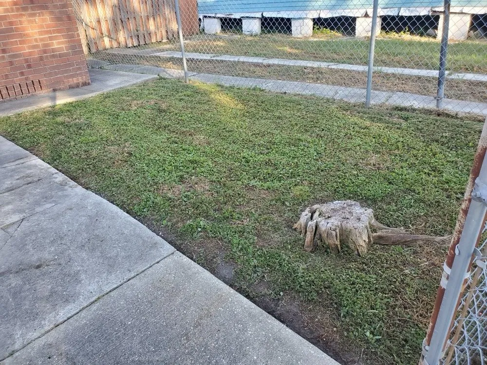 Custom landscape design for outdoor upgrades in New Orleans, LA by Eli the Lawn Guy
