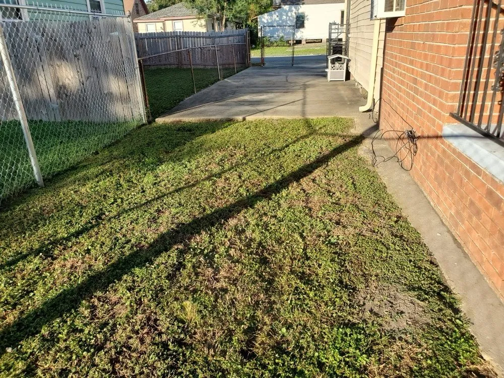 Custom landscape design with custom design in New Orleans, LA by Eli the Lawn Guy