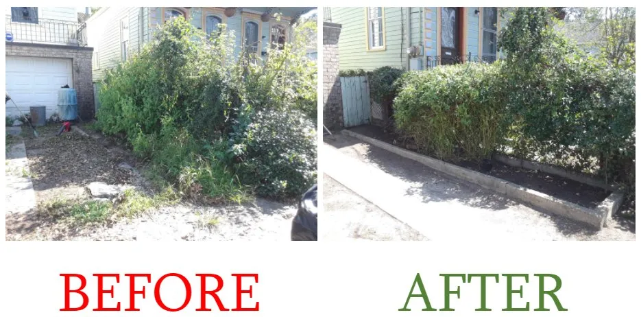 Local landscape installation experts serving New Orleans, LA - Eli the Lawn Guy