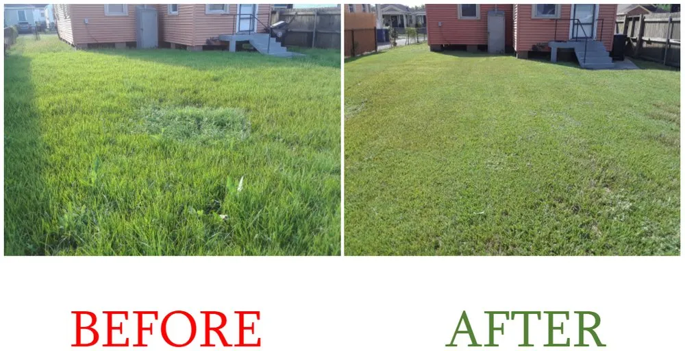 Local garden landscaping experts serving New Orleans, LA - Eli the Lawn Guy