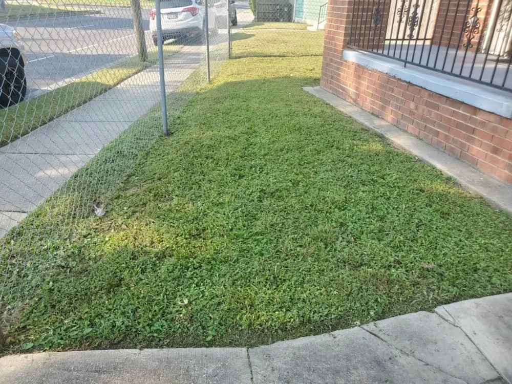 Top-rated residential landscaping in New Orleans, LA - Eli the Lawn Guy