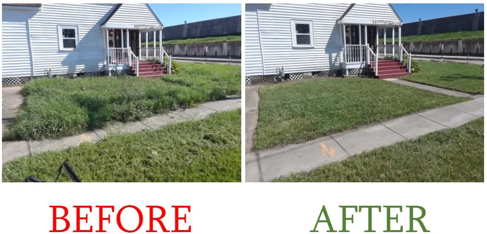 Trusted yard maintenance in New Orleans, LA by Eli the Lawn Guy