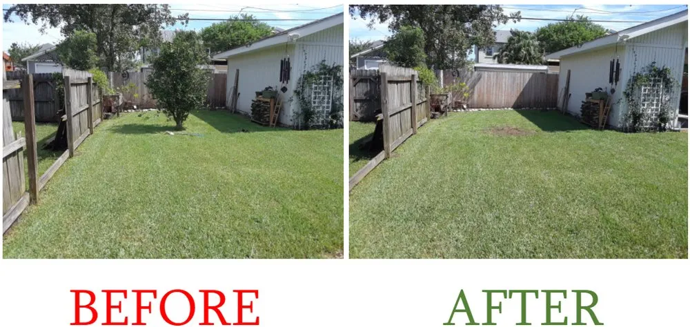 Expert yard cleanup service in New Orleans, LA - Eli the Lawn Guy