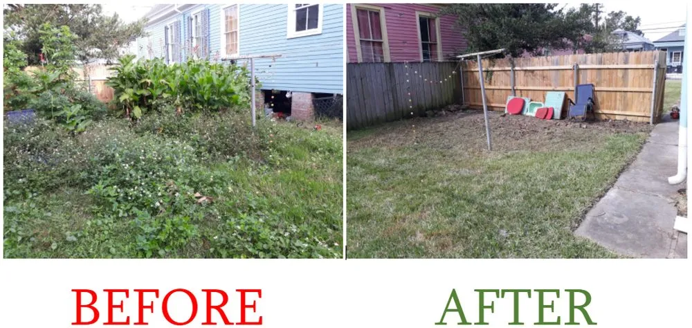 Professional landscape design experts serving New Orleans, LA - Eli the Lawn Guy