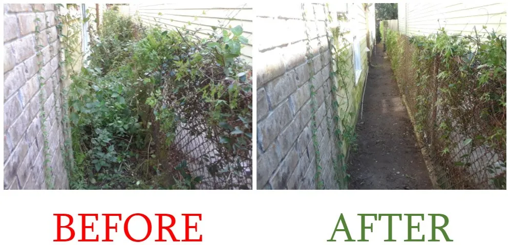 Reliable lawn mowing service near you across New Orleans, LA - Eli the Lawn Guy