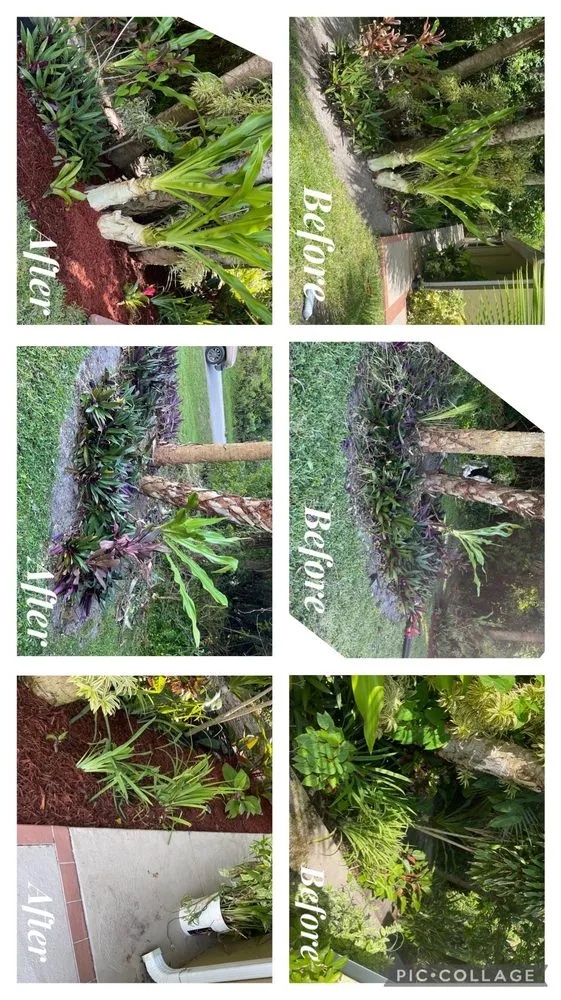 Reliable garden landscaping with custom design in Lehigh Acres, FL by Elias Barrera Lawn Care Services