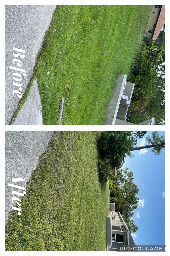Expert landscape installation in Lehigh Acres, FL by Elias Barrera Lawn Care Services