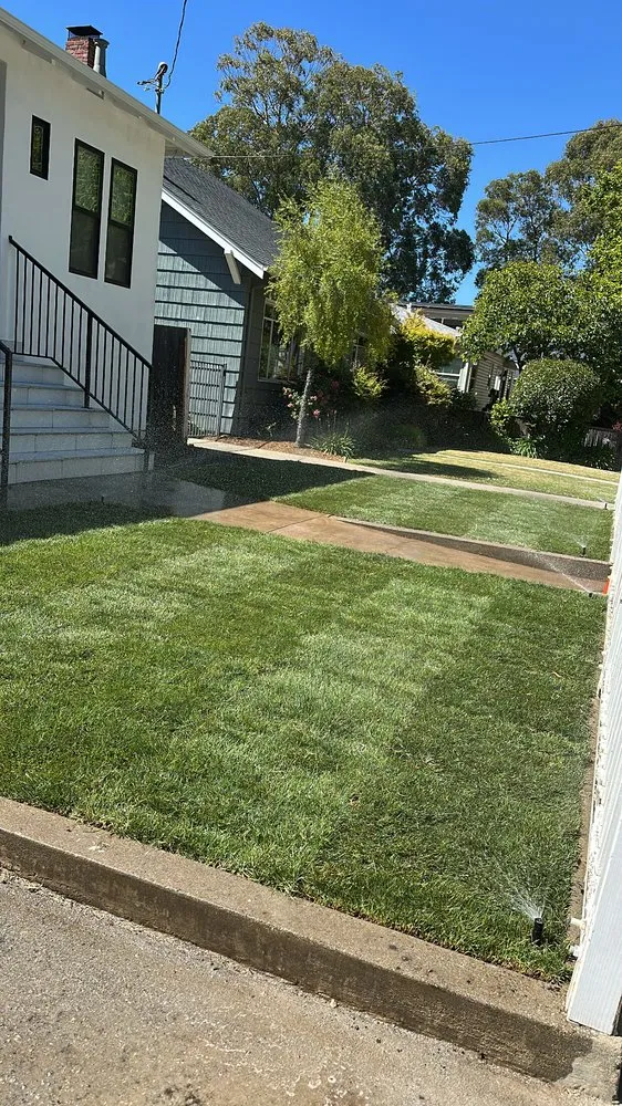Top-rated lawn mowing service with custom design across Half Moon Bay, CA - Elias CHR Landscaping