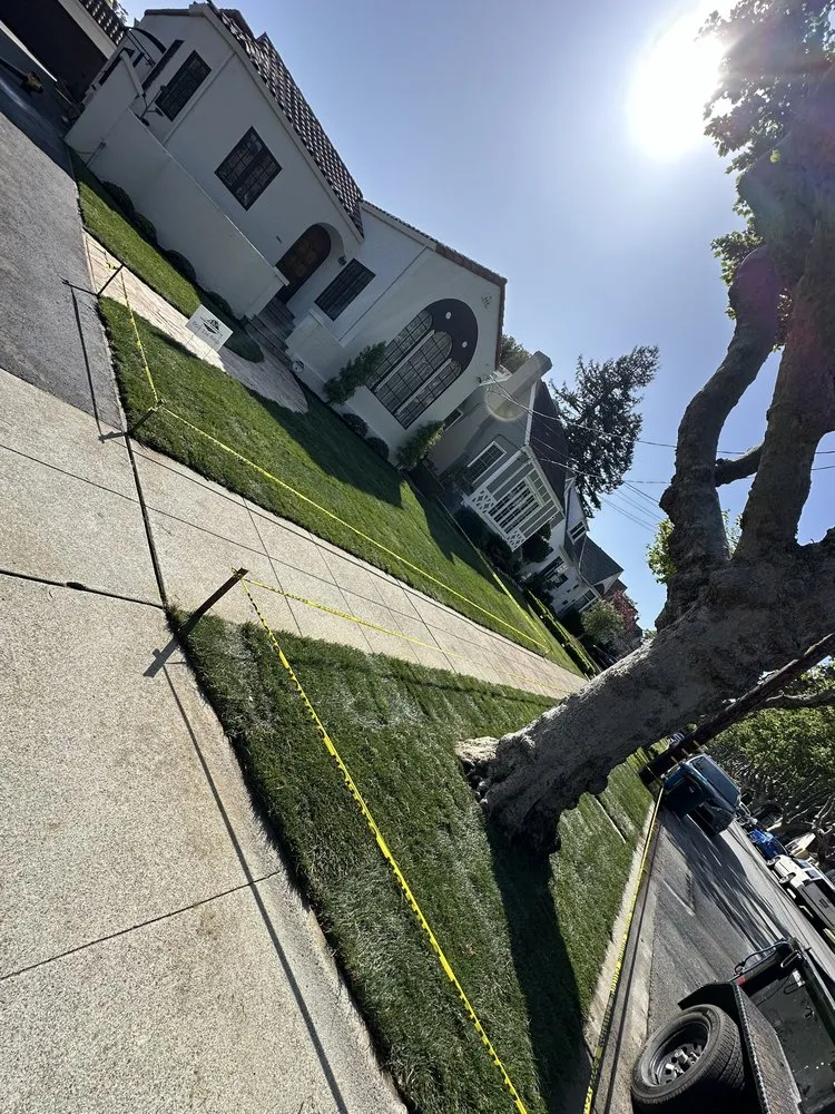 Professional yard cleanup service experts serving Half Moon Bay, CA - Elias CHR Landscaping