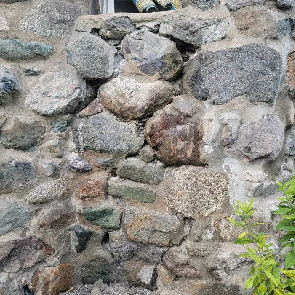 Reliable yard cleanup service in Waltham, MA - Elias Dubon Landscaping