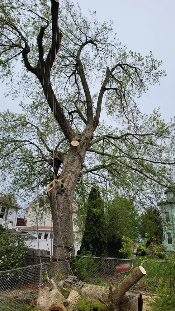 Top-rated outdoor landscaping experts serving Waltham, MA - Elias Dubon Landscaping