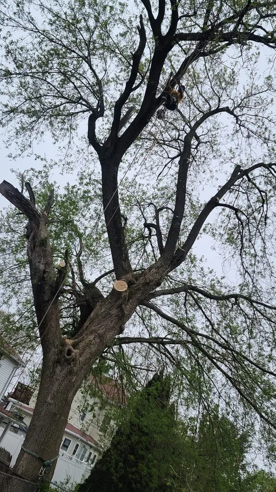 Affordable garden landscaping in Waltham, MA - Elias Dubon Landscaping