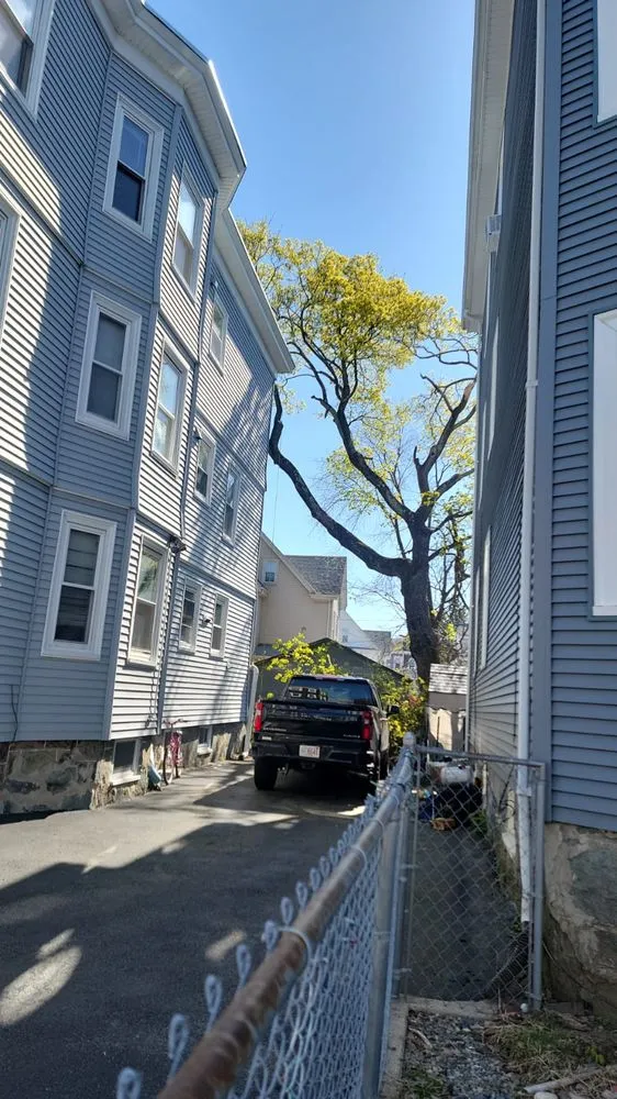 Professional yard cleanup service for outdoor upgrades across Waltham, MA - Elias Dubon Landscaping