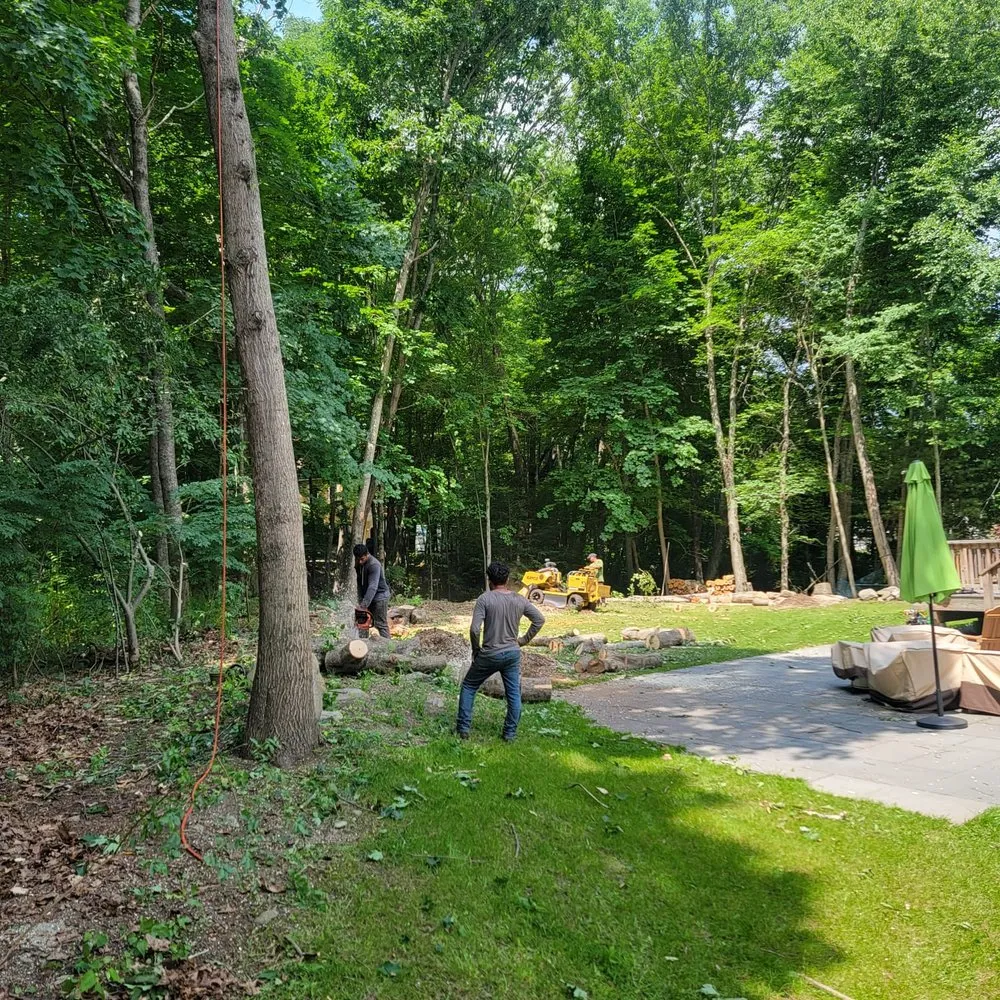 Custom landscape design in Waltham, MA - Elias Dubon Landscaping