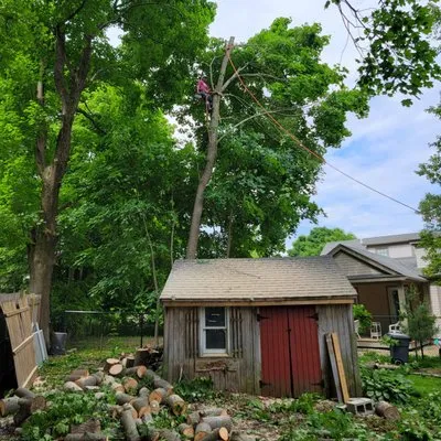 Elias Dubon Landscaping Logo