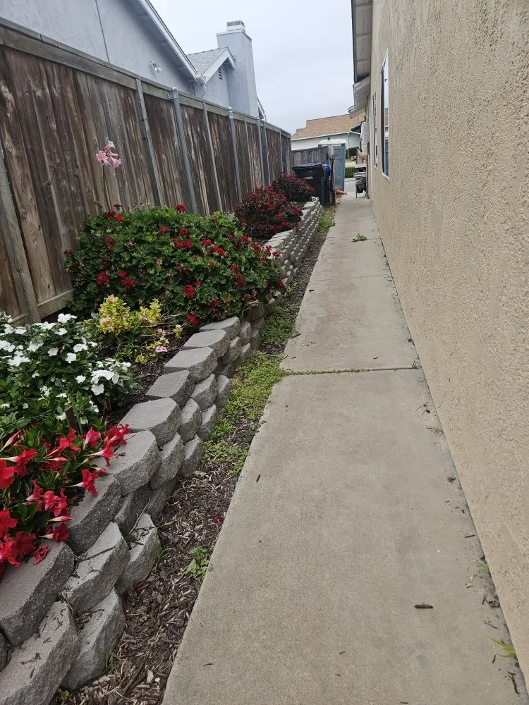 Trusted lawn mowing service for beautiful yards across Oceanside, CA - Elias Landscape and Masonry