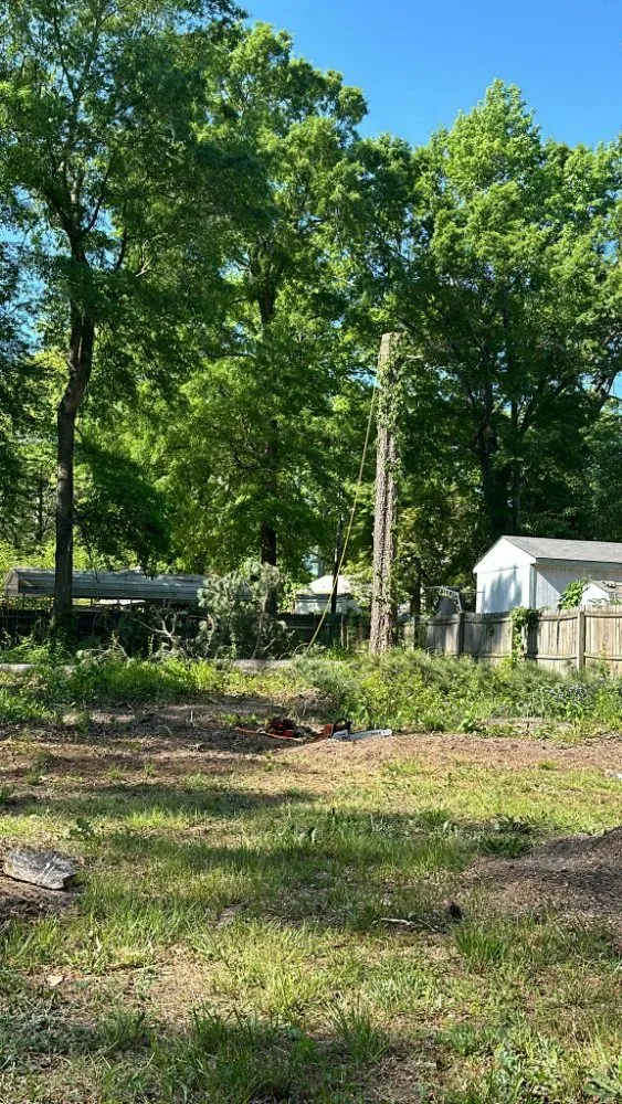 Custom outdoor landscaping in Henrico, VA by Elias Landscaping and Tree Service