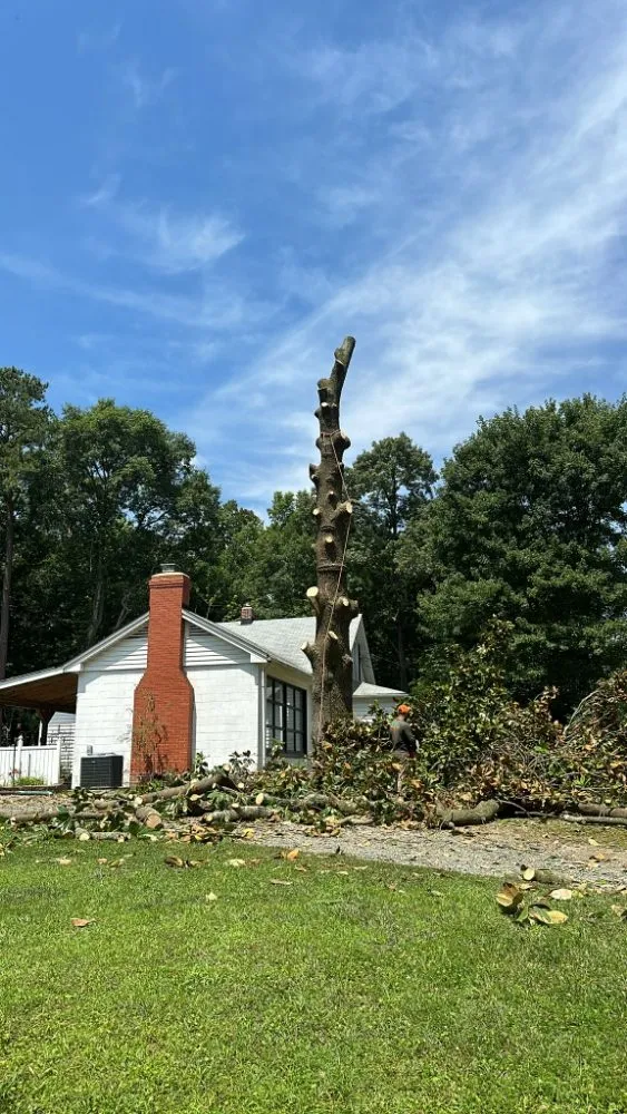 Local yard maintenance in Henrico, VA by Elias Landscaping and Tree Service