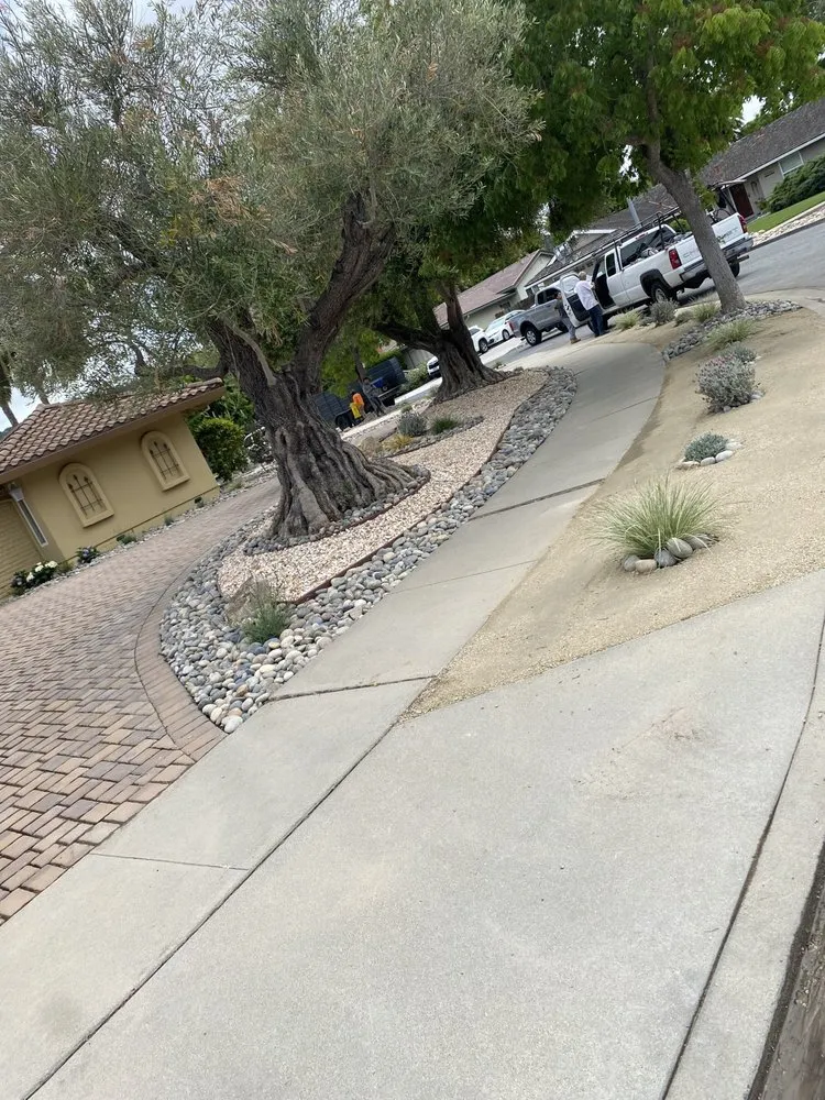 Reliable residential landscaping for beautiful yards across Hollister, CA - Elias Landscaping