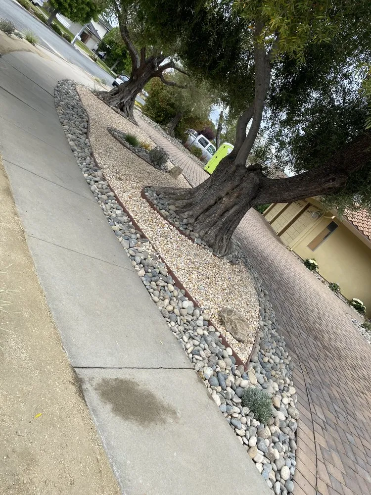 Trusted lawn mowing service experts serving Hollister, CA - Elias Landscaping