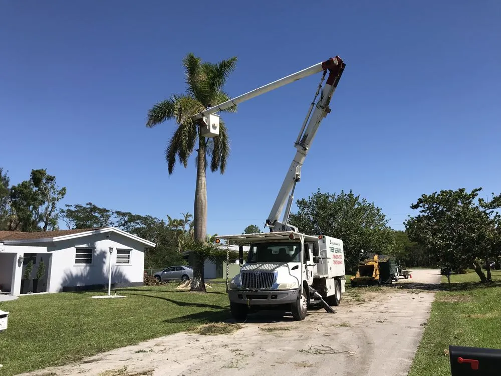 Top-rated lawn mowing service experts serving Miami, FL - Elias Landscaping