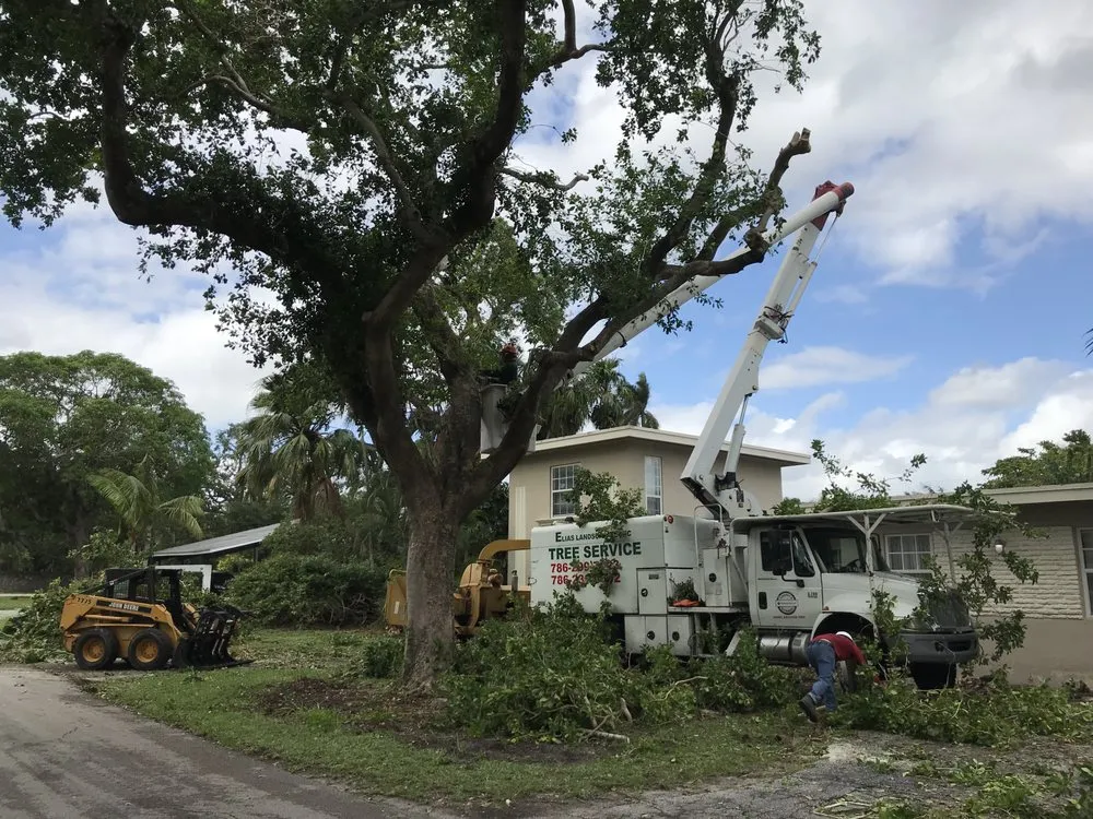 Professional garden landscaping for homes across Miami, FL - Elias Landscaping