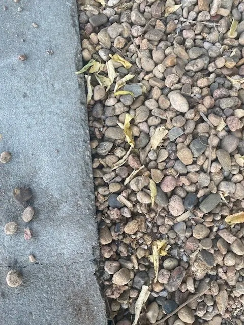 Reliable outdoor landscaping for beautiful yards across Aurora, CO - ELIAS Landscaping Services