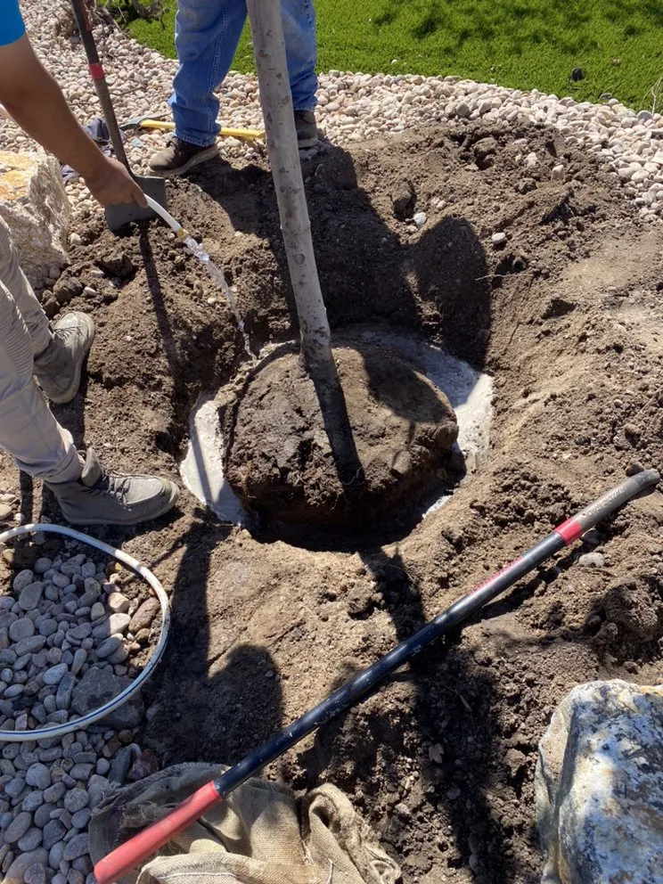 Professional residential landscaping near you in Aurora, CO by ELIAS Landscaping Services