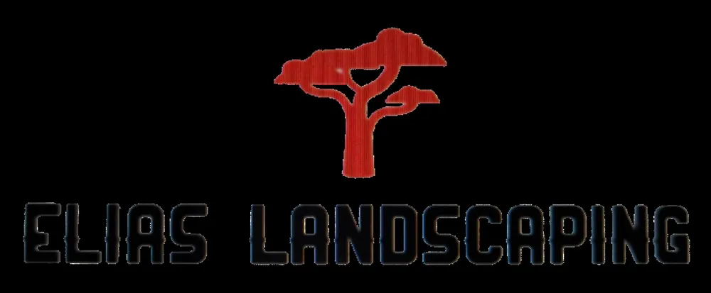 Local lawn care service for beautiful yards across Aurora, CO - ELIAS Landscaping Services