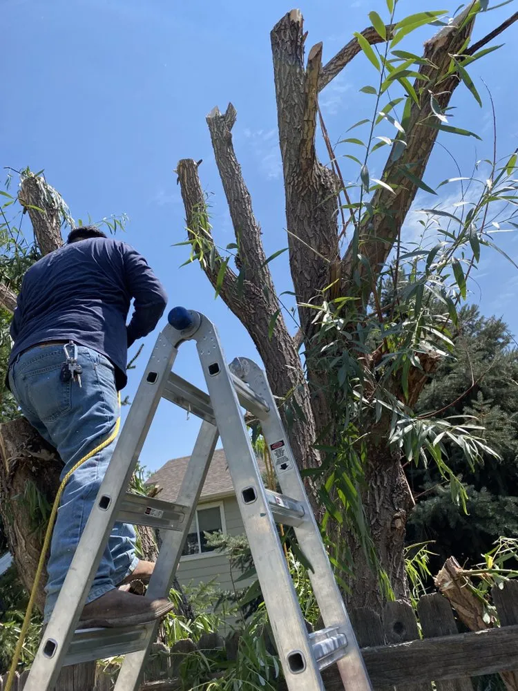 Top-rated garden landscaping in Aurora, CO - ELIAS Landscaping Services