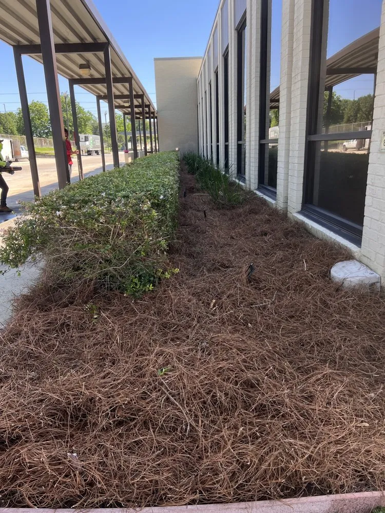 Top-rated garden landscaping in Baton Rouge, LA - Elias-Lawn Mowing