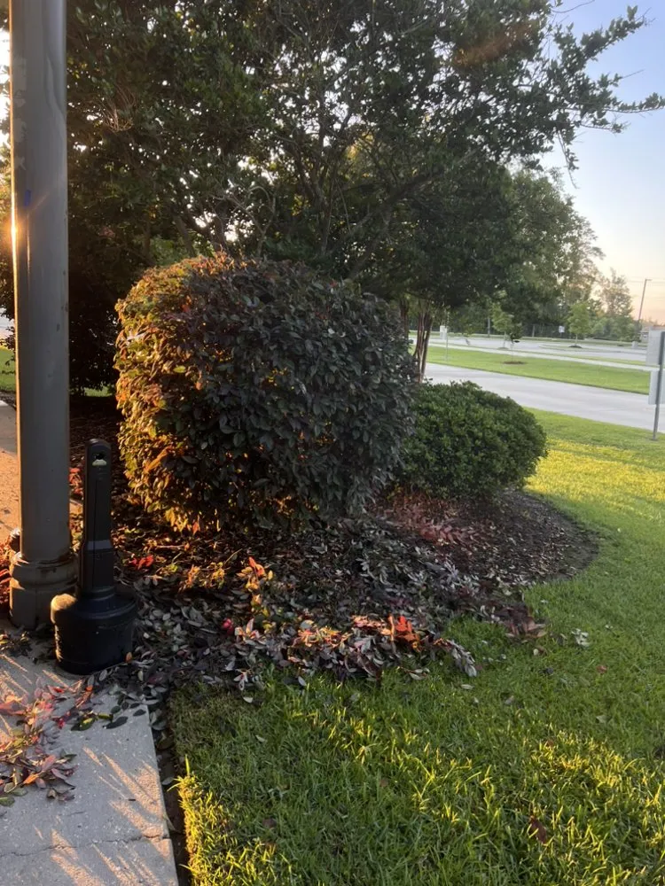 Trusted residential landscaping in Baton Rouge, LA by Elias-Lawn Mowing