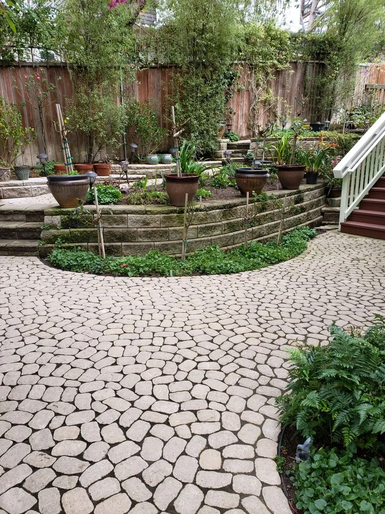 Affordable yard cleanup service with custom design across Cambria, CA - Elias Ramirez Garden Services