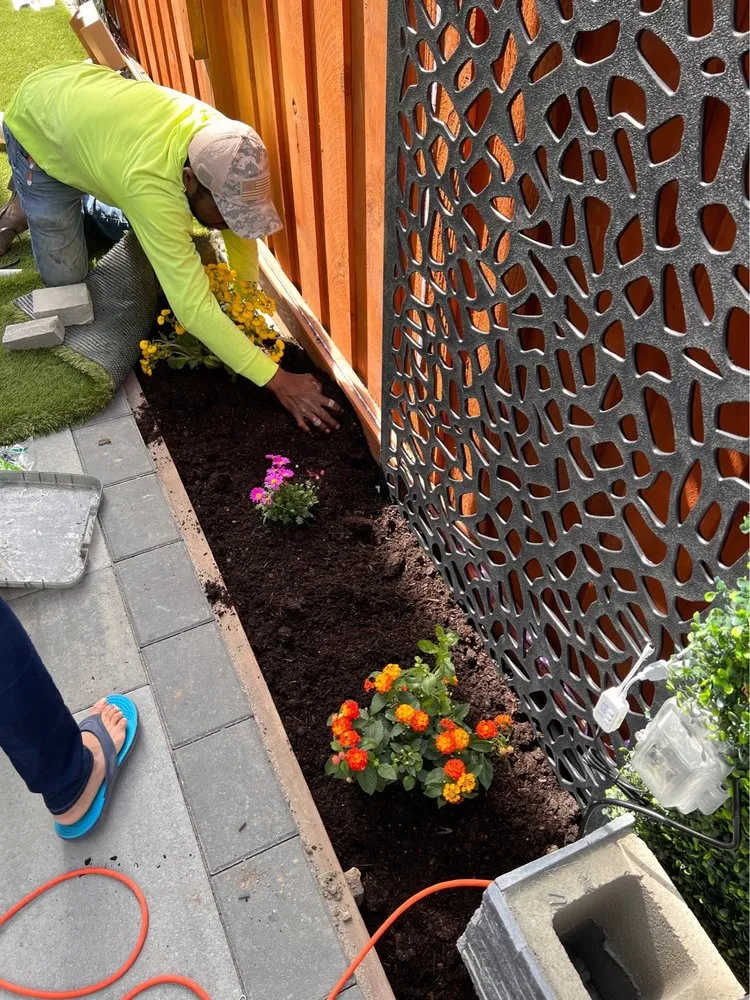 Affordable lawn care service in San Jose, CA by EliasGH Landscaping