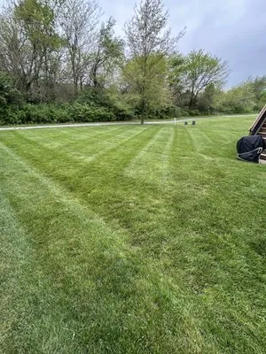 Eliceo Lawn Service Logo