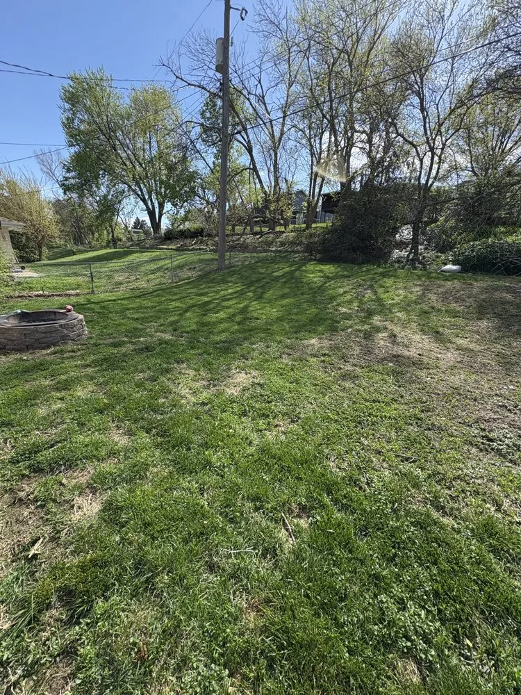 Affordable landscape installation in Omaha, NE - Elijah Freeto