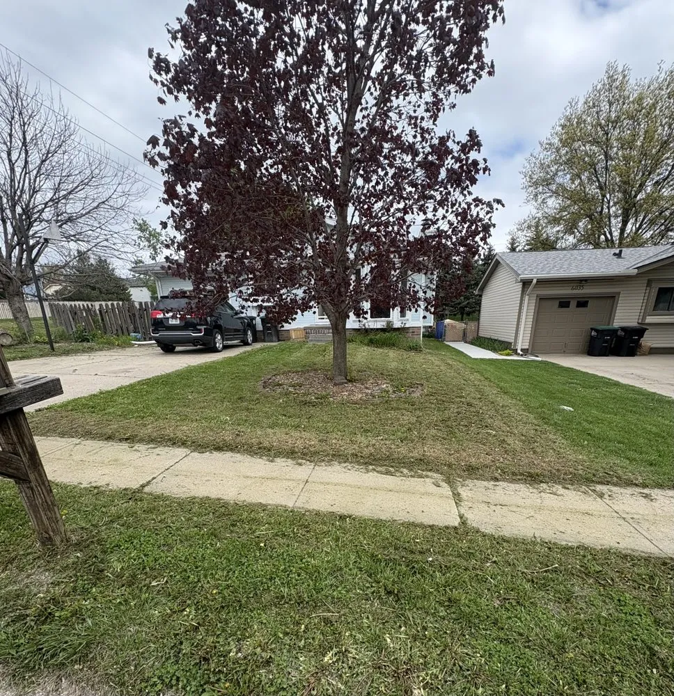 Affordable lawn care service experts serving Omaha, NE - Elijah Freeto