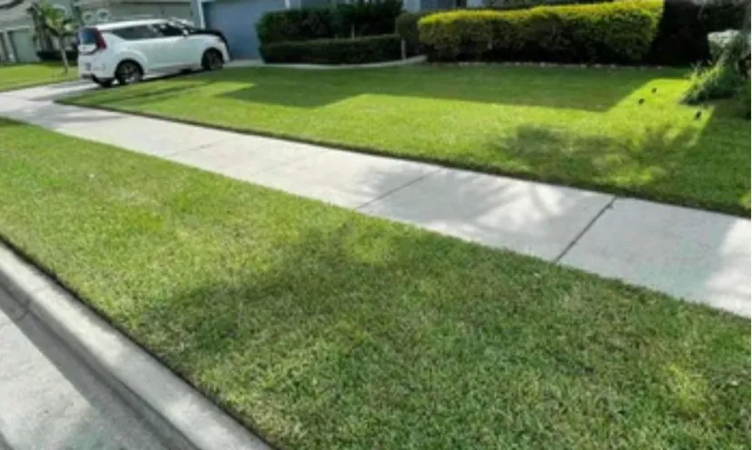 Affordable lawn mowing service in Milton, FL by Elijah's Exterior