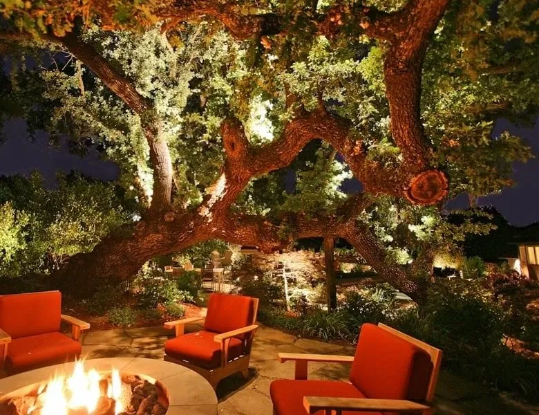 Top-rated landscape installation in Sacramento, CA by Elijah's Landscape & Maintenance