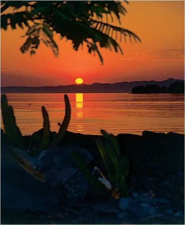 Top-rated residential landscaping for homes in Sacramento, CA by Elijah's Landscape & Maintenance