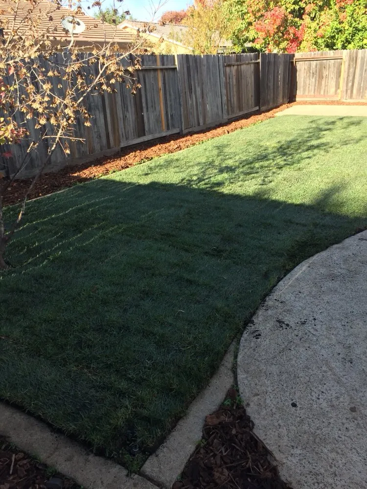 Professional yard cleanup service in Sacramento, CA by Elijah's Landscape & Maintenance