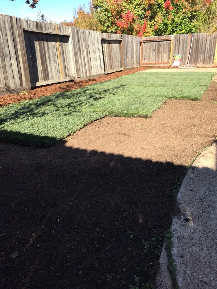 Affordable lawn care service in Sacramento, CA - Elijah's Landscape & Maintenance