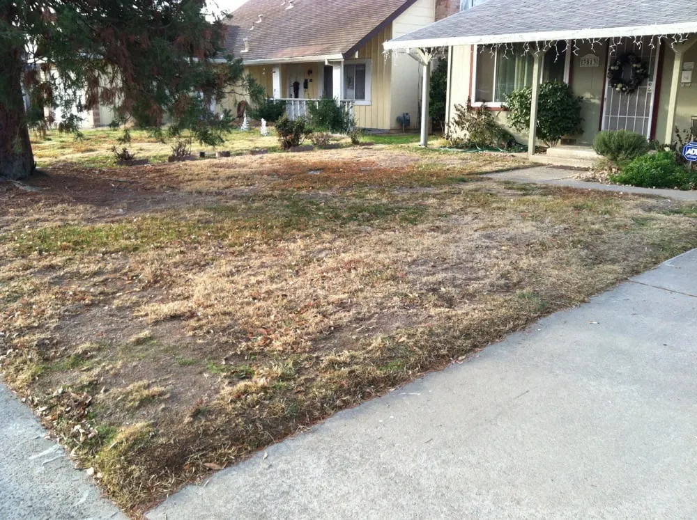 Custom garden landscaping experts serving Sacramento, CA - Elijah's Landscape & Maintenance