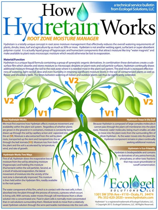 Custom lawn care service for residential properties in Sacramento, CA by Elijah's Landscape & Maintenance