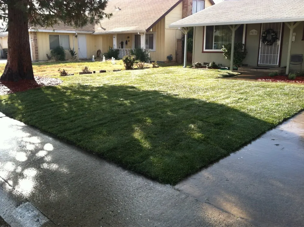 Trusted landscape installation for year-round maintenance in Sacramento, CA by Elijah's Landscape & Maintenance