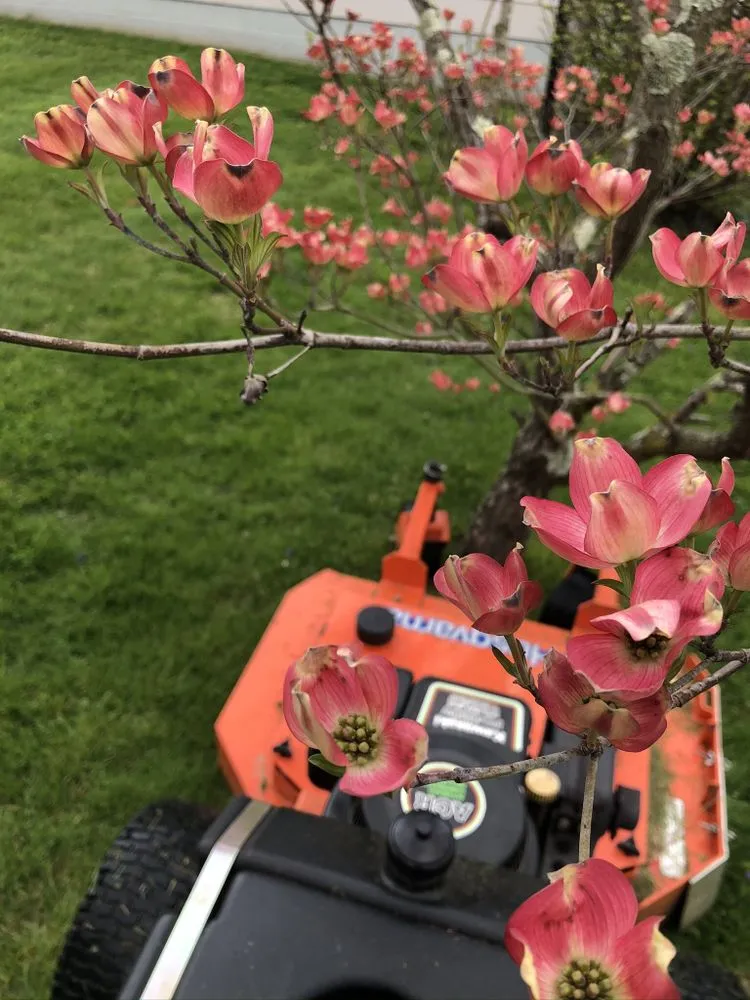 Reliable residential landscaping in Fayetteville, WV by Elijah‘s Lawn Sculpting