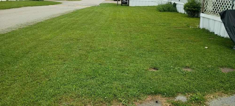 Expert lawn mowing service in Knoxville, TN - Elijahs Yard Work
