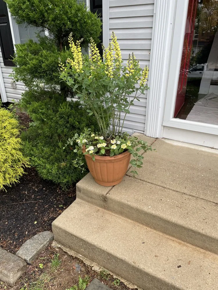 Local yard maintenance experts serving Wilmington, DE - Eline Gardens